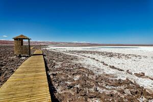 Landscape of the Hidden Baltinache Lagoons - Atacama Desert - Chile. photo