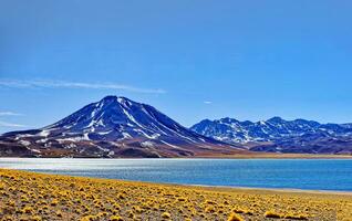 Miscanti Altiplanic Lagoon in the Atacama Desert - San Pedro de Atacama. photo