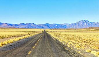 Landscapes on the way to the Altiplanic Lagoons in the Atacama Desert - San Pedro de Atacama - Chile photo