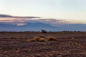 Landscapes of the Atacama Desert - San Pedro de Atacama - El Loa - Antofagasta Region - Chile. photo