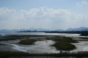 mudflats in the river estuary at low tide with mountains in the background photo