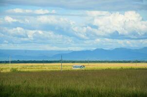 A View of a sunny day and a tiny valley in the rape rice field, White cloud valley on the blue sky. 3d artwork photo