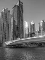 the city of Dubai photo