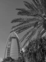 the city of Dubai photo