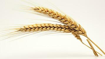 two ears of wheat on a white background ai generative photo