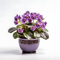 african violets in pots AI Generative photo