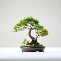 bonsai in pot isolated on white AI Generative photo