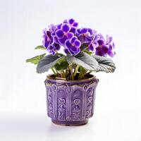 african violets in pots AI Generative photo