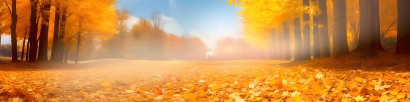 Autumnal trees in an outdoor park on a beautiful, bright day - Gorgeous, vibrant, colorful fall scenery including a blanket of yellow leaves. photo