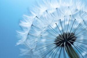 Close up of dandelion on the blue background. Generative AI photo