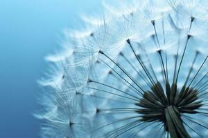 Close up of dandelion on the blue background. Generative AI photo