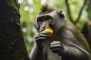 Close up of monkey eating fruit in the jungle. Generative AI photo