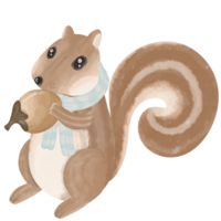 A brown squirrel holding a walnut is wearing a blue scarf because of the cold weather in winter. png