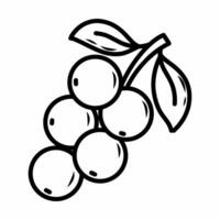 berry on branch in style of doodles. Currant. Coloring book for children. Hand drawn illustration. vector