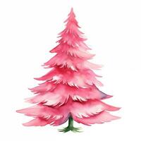 Pink fir, Christmas tree, watercolor illustration on white background photo