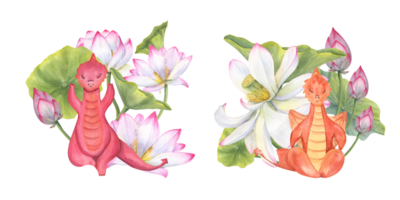 drakar mediterar bland blomning vatten liljor. djur- praktiserande yoga övningar. realistisk lotus blomma, löv och tecknad serie drake. kondition övningar, yoga. vattenfärg illustration png