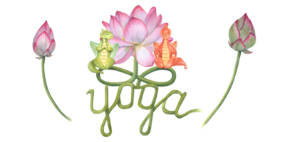 Cartoon Dragons sitting in lotus pose on lotus stems. Dinosaur meditation. Water lily, buds, the word yoga. Colored Dragons practicing fitness exercises. Watercolor illustration png