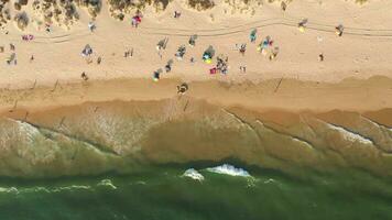 fonte da telha strand en atlantic oceaan. Portugal. antenne ondersteboven hoog hoek visie. dar vliegt zijwaarts video