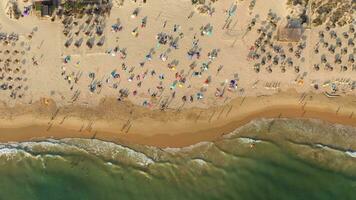 Fonte da Telha Beach and Atlantic Ocean. Crowd of People. Portugal. Aerial Top-Down High Angle View video