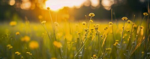 Tranquil spring summer nature closeup and blurred forest background. Generative AI photo