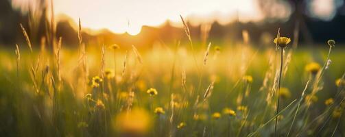 Tranquil spring summer nature closeup and blurred forest background. Generative AI photo