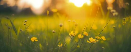 Tranquil spring summer nature closeup and blurred forest background. Generative AI photo