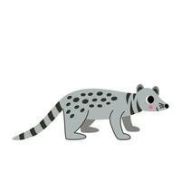 Vector illustration of cute gray civet isolated on white background.