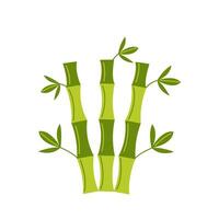 Vector illustration of bamboo trunk isolated on white background.