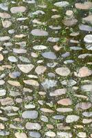 Old cobblestone pavement background texture photo