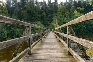 Wooden bridge over the river in the forest on a summer day photo