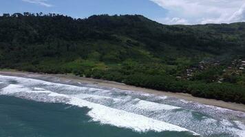 antenne visie van pantai jolosutro, oosten- Java, Indonesië, de kustlijn gezien van buiten de strand is heel mooi video