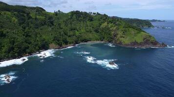 Antenne Aussicht von pantai Jolosutro, Osten Java, Indonesien, entfernt Aussicht von das Strand video