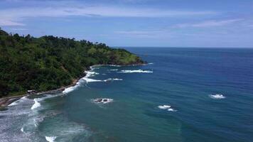 aéreo Visão do pantai jolosutro, leste Java, Indonésia, a Visão a partir de a de praia é verde falésias e colinas video