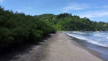 antenne visie van pantai jolosutro, oosten- Java, Indonesië, schoon strand zand en groot golven video