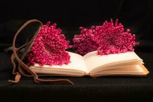 Closeup of a blank diary book with flowers resting on the pages. photo