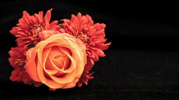 Closeup of an orange rose and red dahlias with space for copy photo