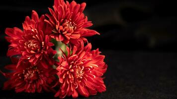 brillante rojo pétalos en vibrante flores con espacio para Copiar. foto