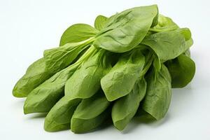 photos of spinach in indoor photo studio AI Generated