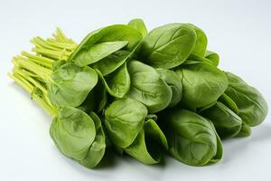 photos of spinach in indoor photo studio AI Generated