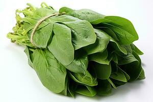 photos of spinach in indoor photo studio AI Generated