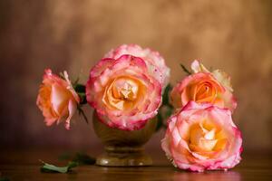 Beautiful blooming yellow and pink rose flowers. photo