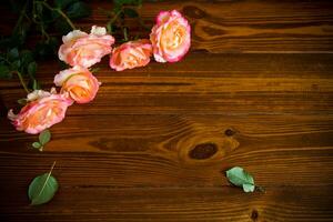 Floral background of pink roses on a dark wooden photo