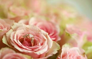 Gold diamond engagement ring in beautiful pink rose flower among big amount of roses in big bouquet close up photo