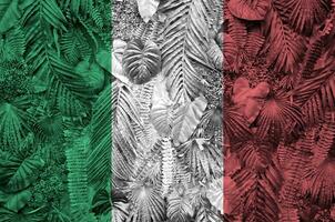 Italia bandera representado en muchos hojas de monstera palma arboles de moda de moda fondo foto