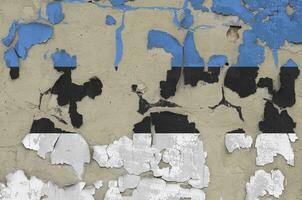 Estonia flag depicted in paint colors on old obsolete messy concrete wall closeup. Textured banner on rough background photo