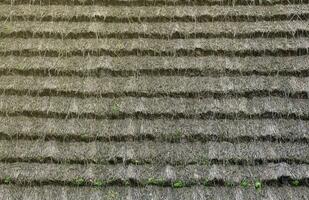 Huge thatched roof of traditional ukrainian house. Straw roof with dried grass photo