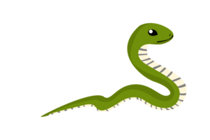 Animal - Green Snake png