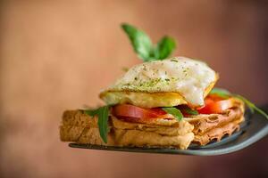 Prepared toast sandwich with fried egg with spices and herbs. photo