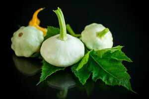 fresh organic squash isolated on black background photo