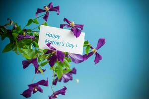 beautiful blooming clematis on a blue background photo